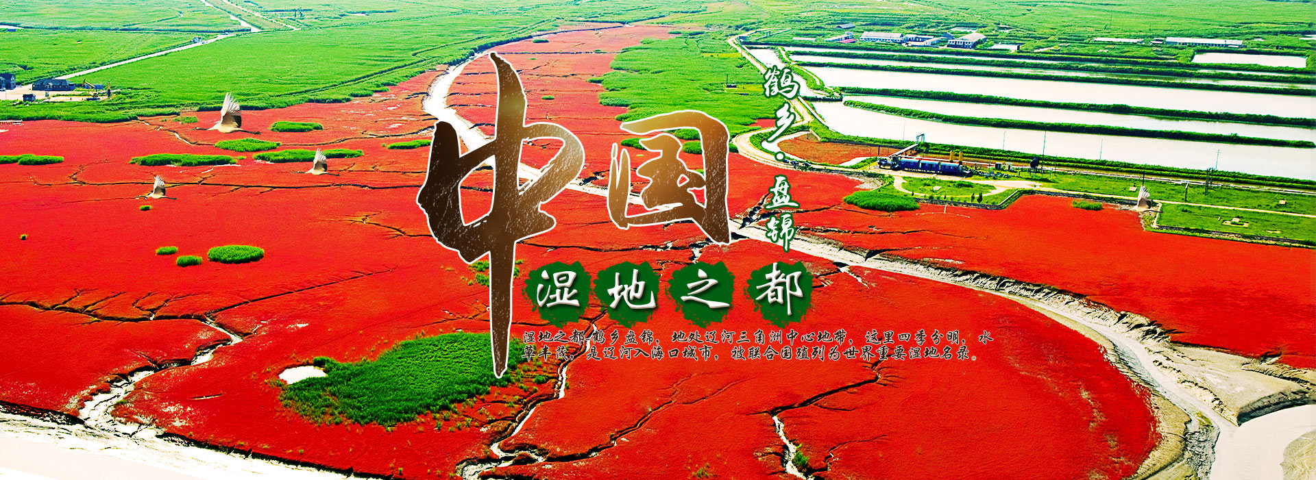 山東德福涂料有限公司